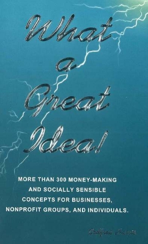 What a Great Idea!: More Than 300 Money-Making Concepts for Businesses, Nonprofits Groups & Individuals (Paperback)