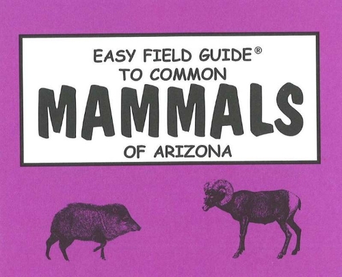 Easy Field Guide to Common Mammals of Arizona (Paperback)