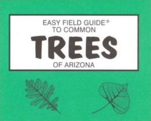 Easy Field Guide to Common Trees of Arizona (Paperback)