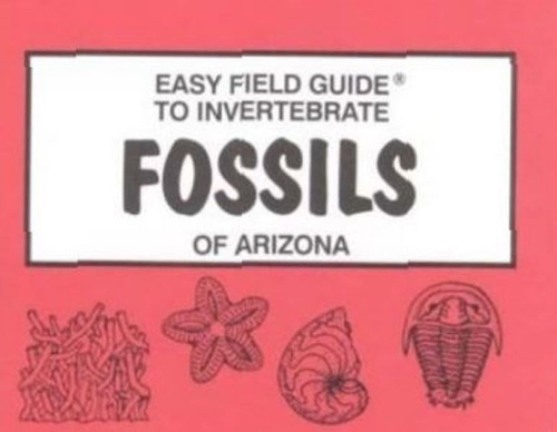 Easy Field Guide to Invertebrate Fossils of Arizona (Paperback)
