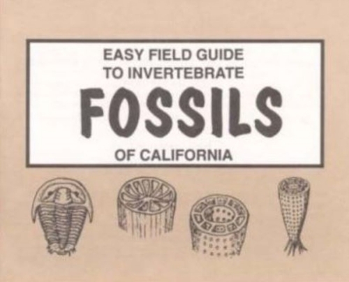 Easy Field Guide to Invertebrate Fossils of California (Paperback)