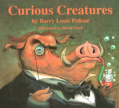 Curious Creatures (Hardback)