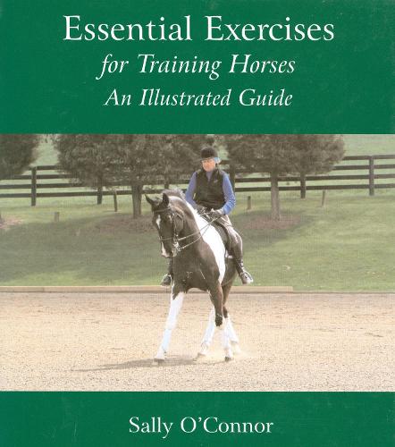 Essential Exercises for Training Horses: An Illustrated Guide (Hardback)