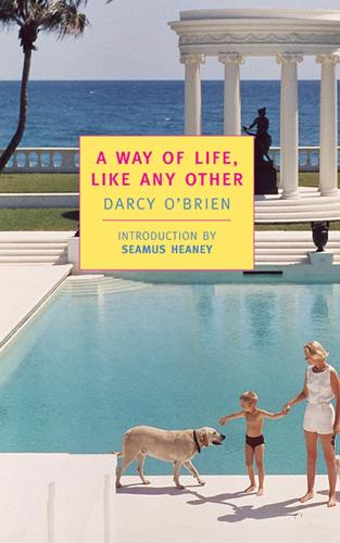 A Way Of Life Like Any Other (Paperback)