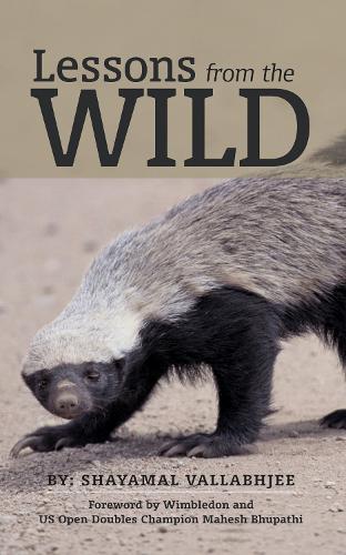 Lessons from the Wild (Paperback)