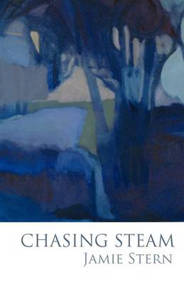 Chasing Steam (Paperback)
