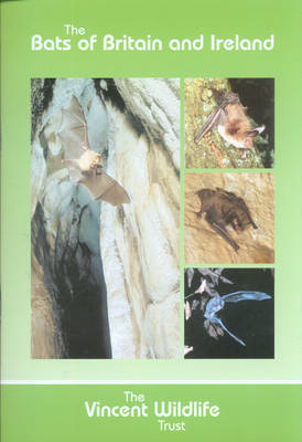 The Bats of Britain and Ireland (Paperback)