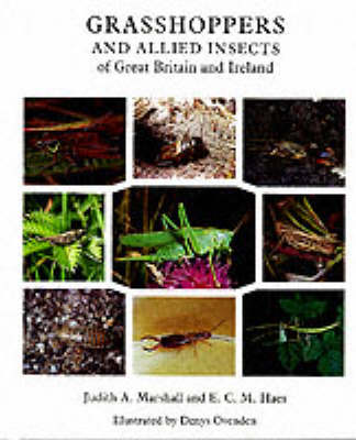 Grasshoppers and Allied Insects of Great Britain and Ireland (Paperback)