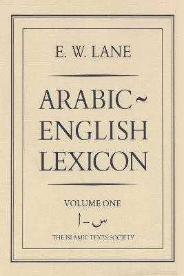 Arabic-English Lexicon (Hardback)