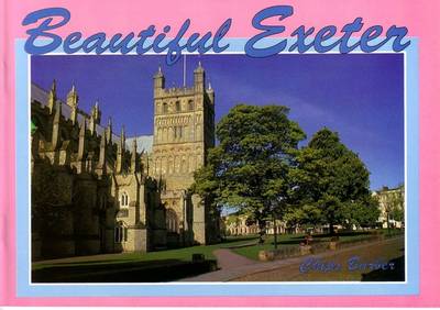 Beautiful Exeter (Paperback)