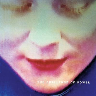 The Challenge of Power: Celebrating 25 Years of Adapt (Hardback)