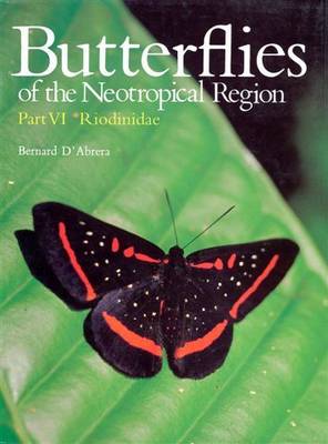 Butterflies of the Neotropical Region: Riodinidae Pt. 6 - Butterflies of the World S. (Hardback)