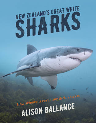 New Zealand's Great White Sharks (Hardback)