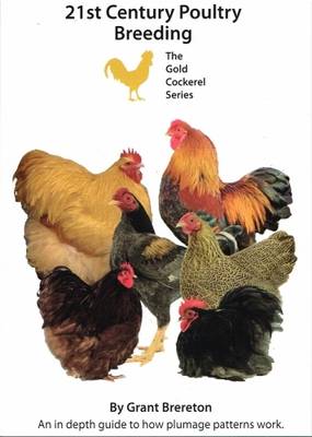 21st Century Poultry Breeding (Paperback)