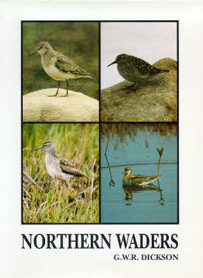Northern Waders - Caliologists S. (Hardback)