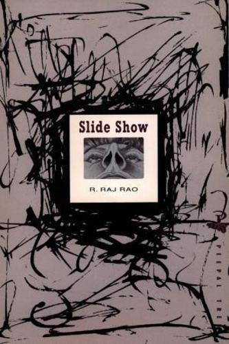 Slide Show (Paperback)
