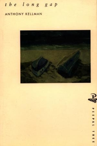 The Long Gap (Paperback)