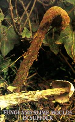 Fungi and Slime Moulds in Suffolk (Paperback)