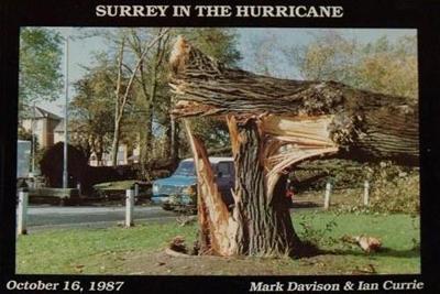 Surrey in the Hurricane: Great Storm of October 16th 1987 1987 - Great Storm of 1987 in Southern England (Paperback)