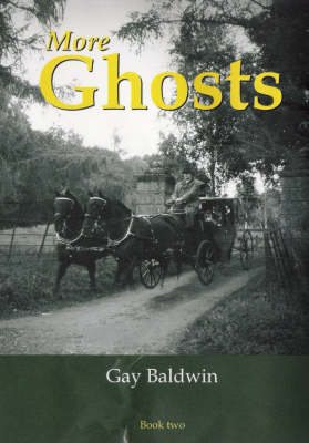 More Ghosts: More Ghosts of the Isle of Wight - Ghosts of the Isle of Wight Bk 2 (Paperback)