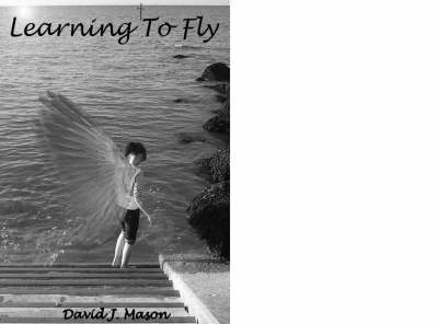 Learning to Fly (Paperback)