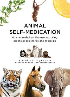 Animal Self-Medication: How animals heal themselves using essential oils, herbs and minerals (Paperback)