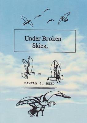 Under Broken Skies (Paperback)