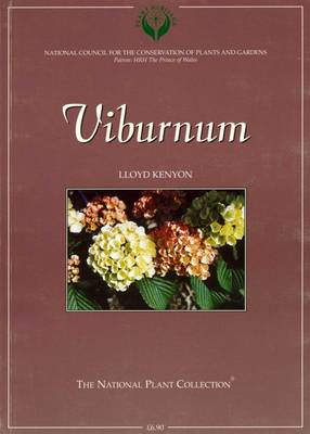 Viburnum (Paperback)
