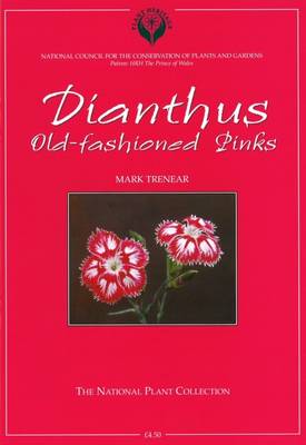 Dianthus: Old-fashioned Pinks (Paperback)