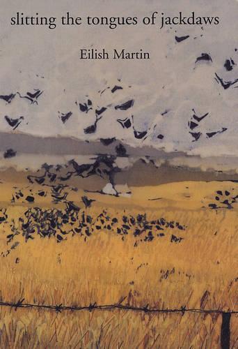 Slitting the Tongues of Jackdaws (Paperback)