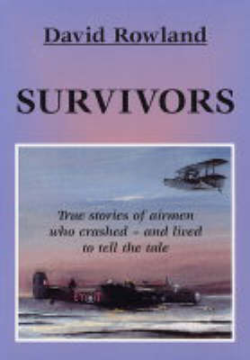 Survivors: True Stories of Airmen Who Crashed - And Lived to Tell the Tale (Book)