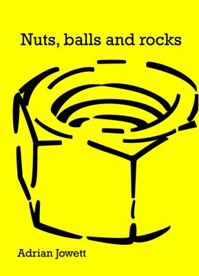 Nuts, Balls and Rocks: A Year of Life from the Diagnosis of Testicular Cancer to Recovery (Paperback)