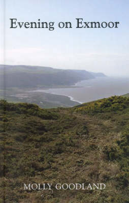 Evening on Exmoor (Paperback)