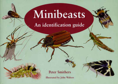 Minibeasts: An Identification Guide (Paperback)