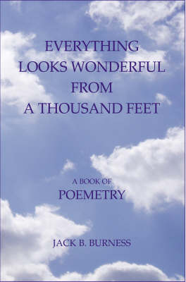 Everything Looks Wonderful from a Thousand Feet: A Book of Poemetry (Paperback)