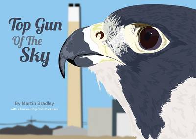 Top Gun of the Sky (Paperback)