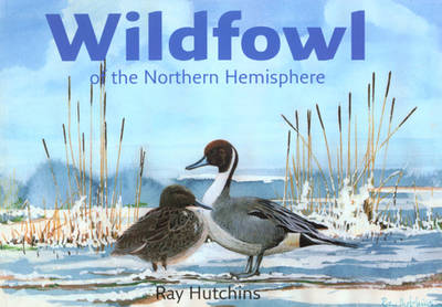 Wildfowl of the Northern Hemisphere (Paperback)