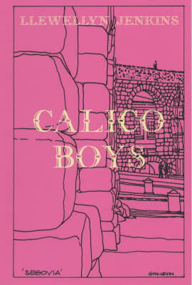 Calico Boys (Hardback)