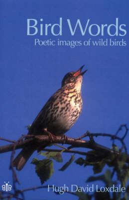 Bird Words: Poetic Images of Wild Birds (Paperback)