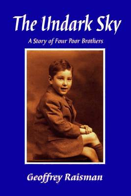 The Undark Sky: A Story of Four Poor Brothers (Paperback)