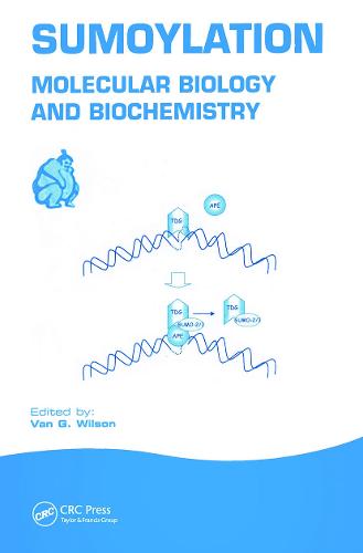 Sumoylation: Molecular Biology and Biochemistry (Hardback)