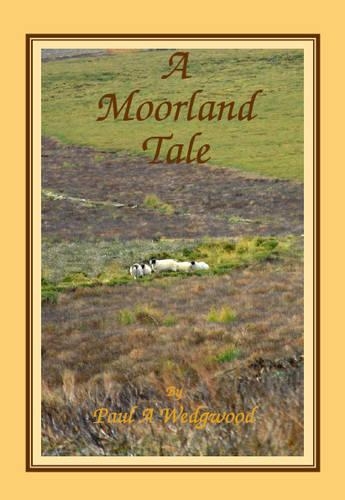 A Moorland Tale (Paperback)