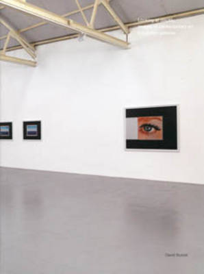 Looking at Display: Images of Contemporary Art in London Galleries (Paperback)