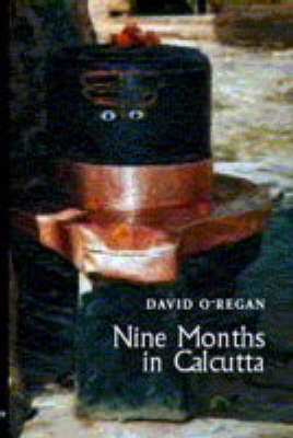 Nine Months in Calcutta: A Novel (Hardback)