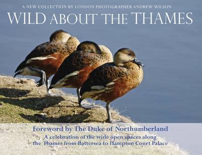 Wild About the Thames: A Celebration of the Open Spaces Along the Thames from Battersea to Hampton Court (Paperback)