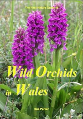 Wild Orchids in Wales (Paperback)