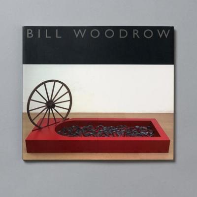 Bill Woodrow: Sculptures (Paperback)