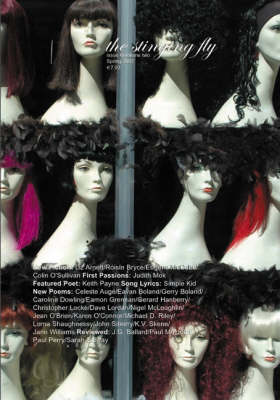 The Stinging Fly: Spring 2007 Issue 6 - Stinging Fly No. 24 (Paperback)