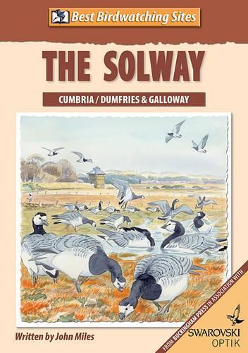 Best Birdwatching Sites: The Solway (Paperback)