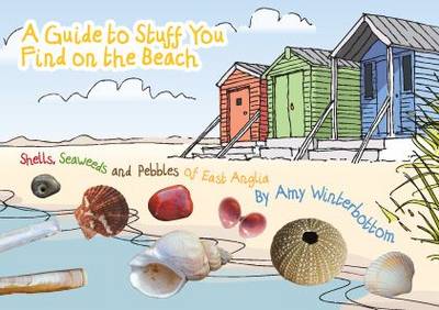 A Guide to Stuff You Find on the Beach: Shells, Seaweeds and Pebbles of East Anglia (Paperback)